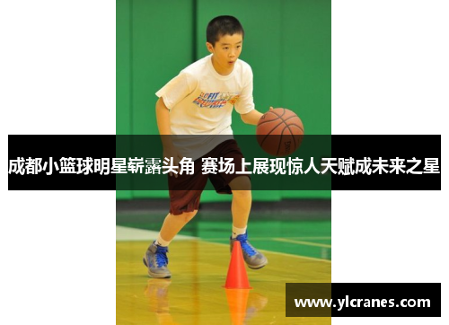 成都小篮球明星崭露头角 赛场上展现惊人天赋成未来之星